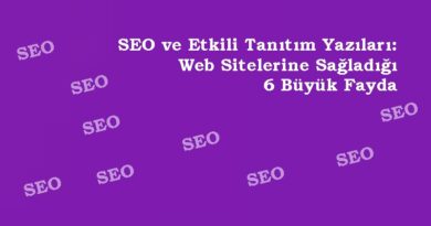 SEO ve Etkili Tanıtım Yazıları: Web Sitelerine Sağladığı 6 Büyük Fayda